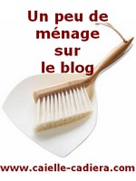 Un peu de ménage sur le blog