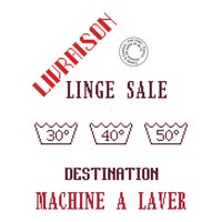 grille gratuite - Destination machine à laver