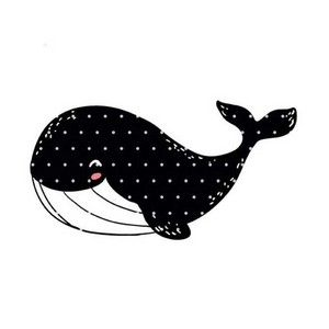 Silhouette baleine