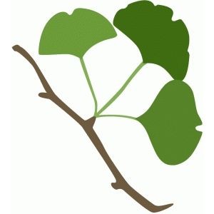 silhouette feuilles gingko