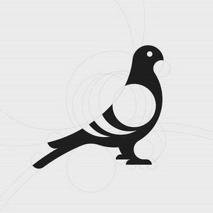 silhouette pigeon