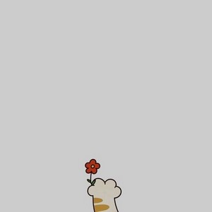 image patte de chat