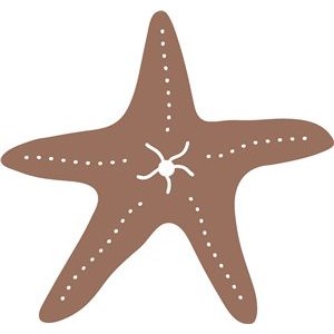 silhouette étoile de mer