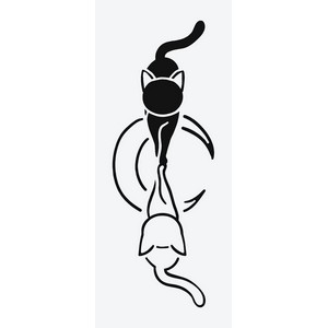 silhouette chat et son reflet
