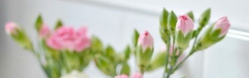 Diverses fleurs et feuilles
